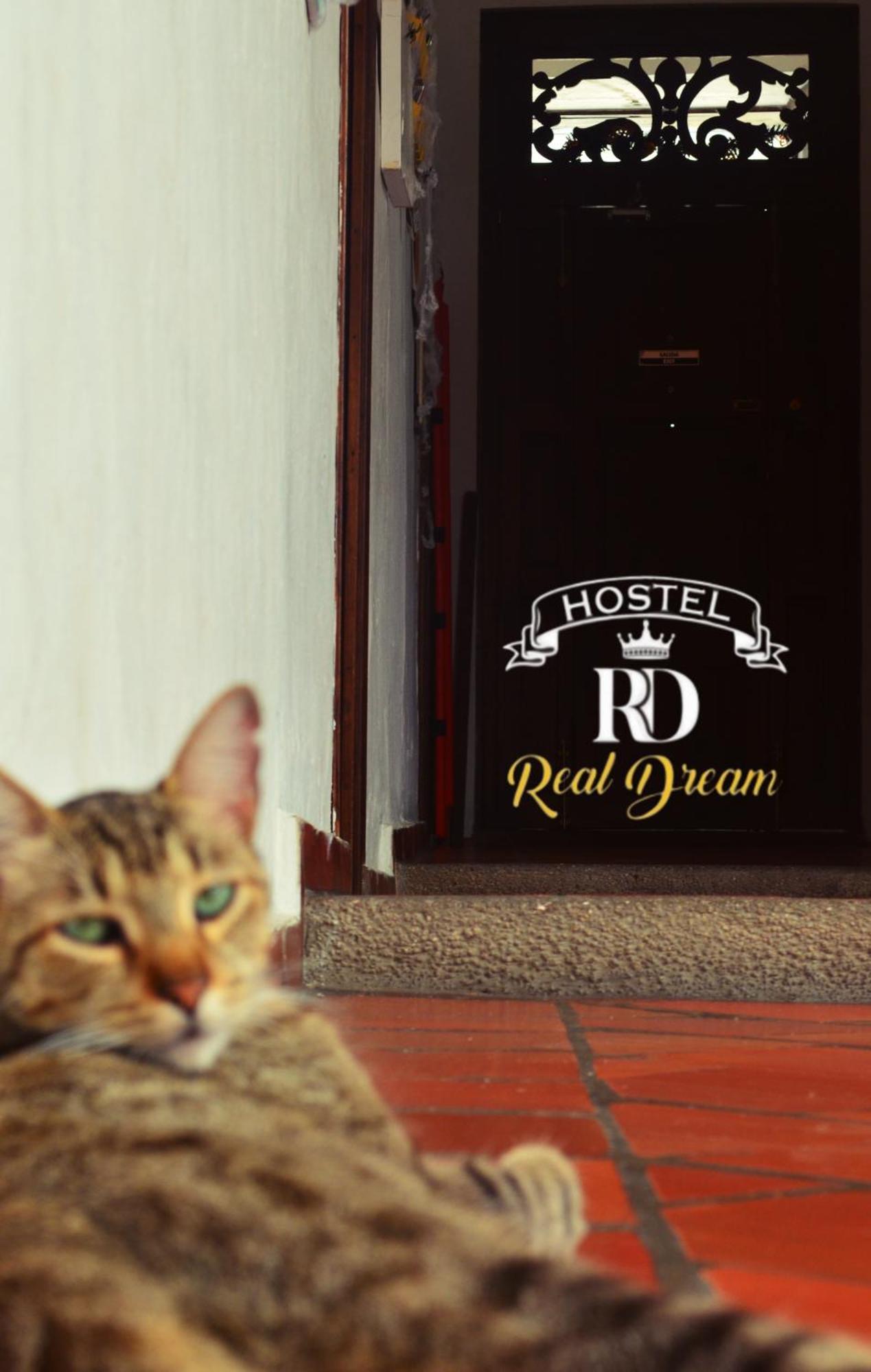 Real Dream Hostel San Gil Exterior foto